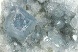 Sparkling Celestine (Celestite) Geode Section - Madagascar #364089-1